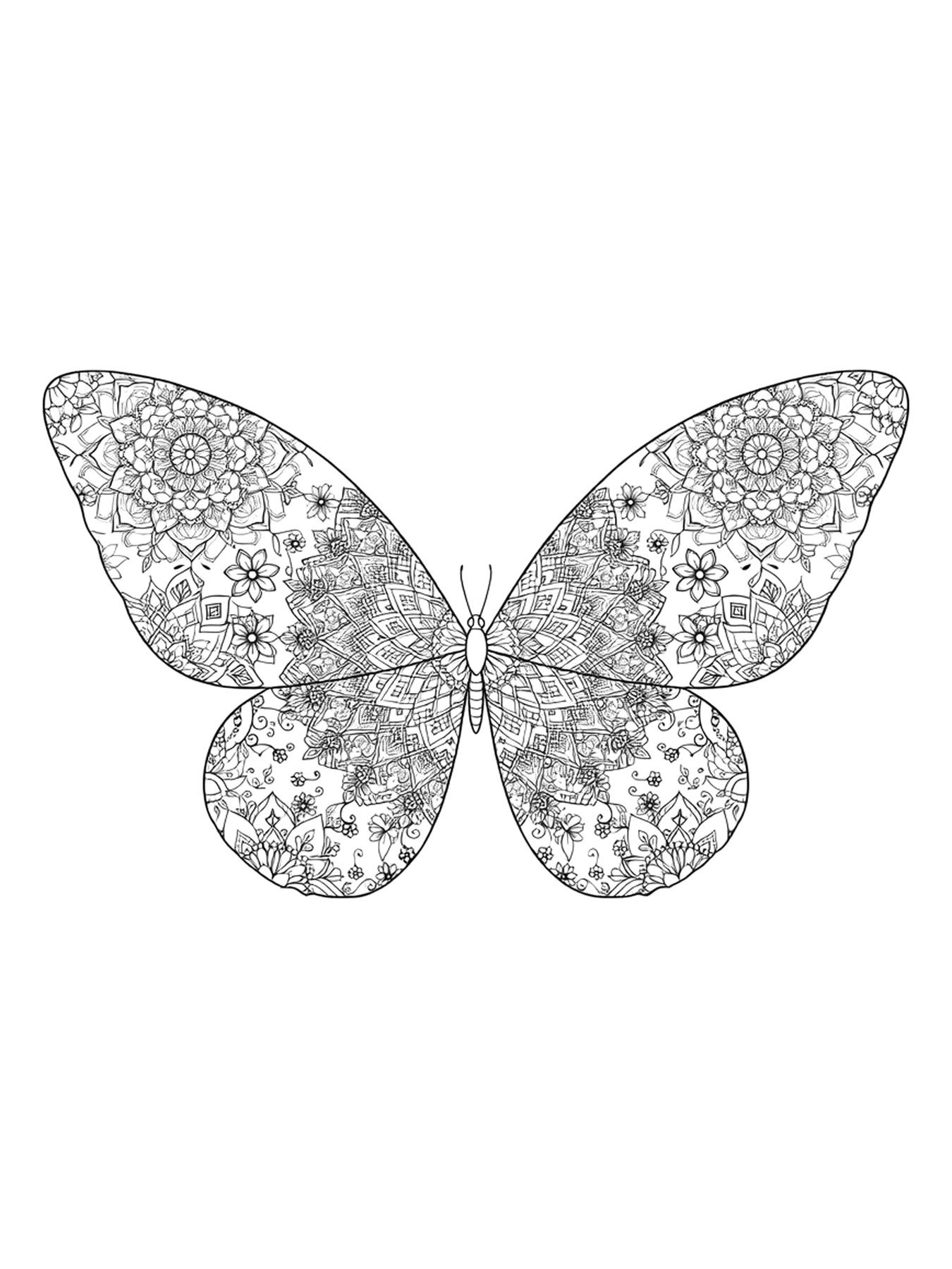 Desenho de borboleta mandala para colorir