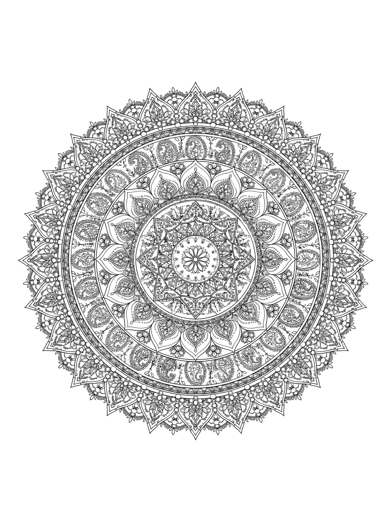 Desenho de mandala circular complexa para colorir