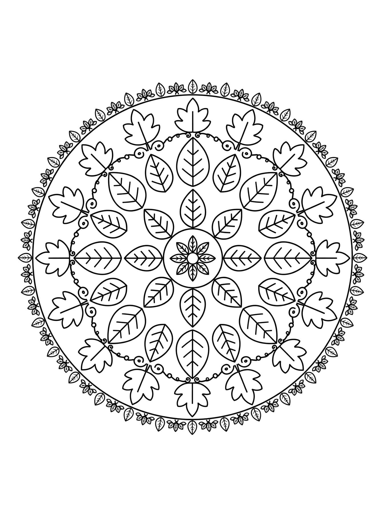 Desenho de mandala de folhas para colorir
