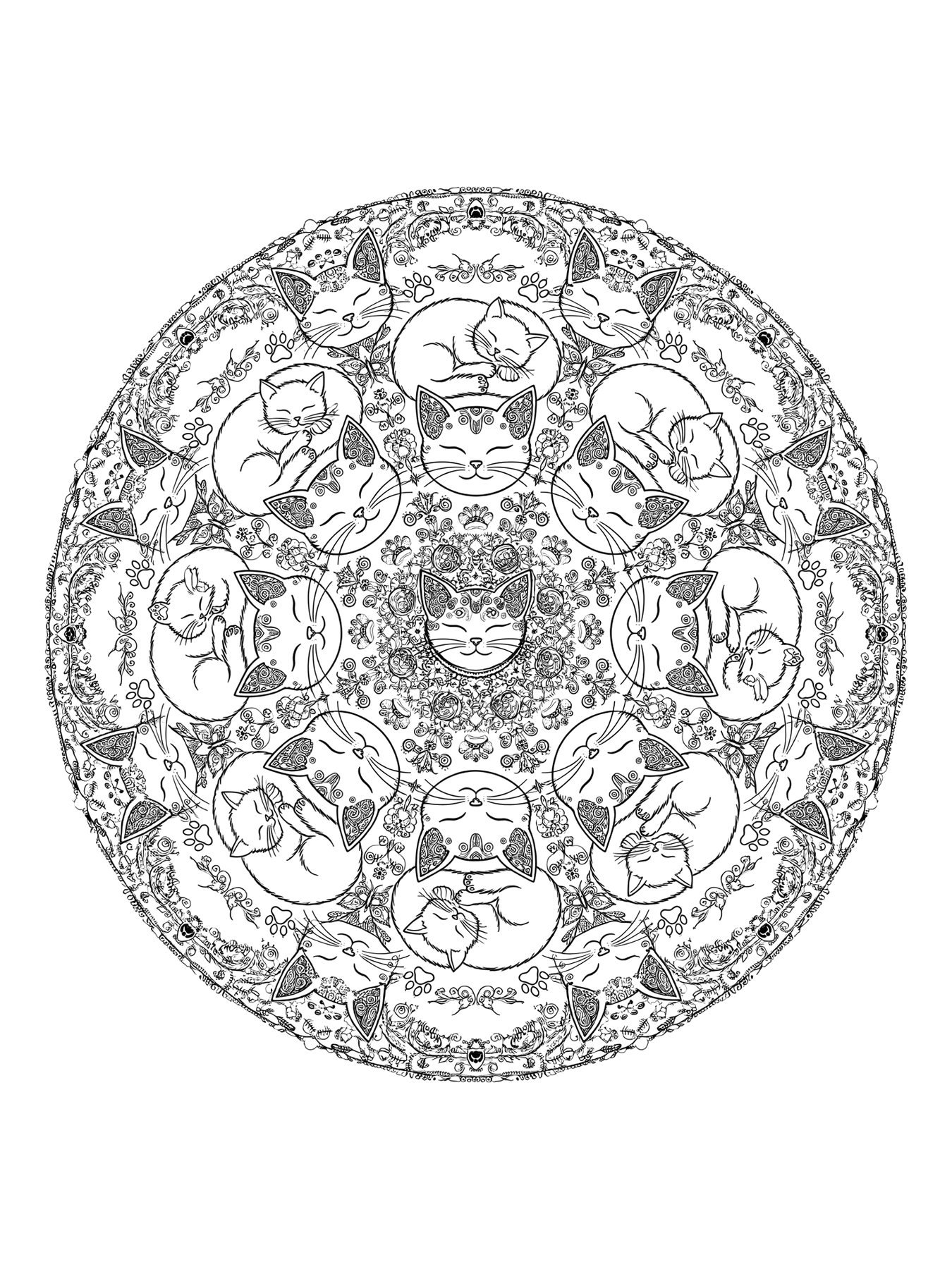 Desenho de mandala de gatos para colorir