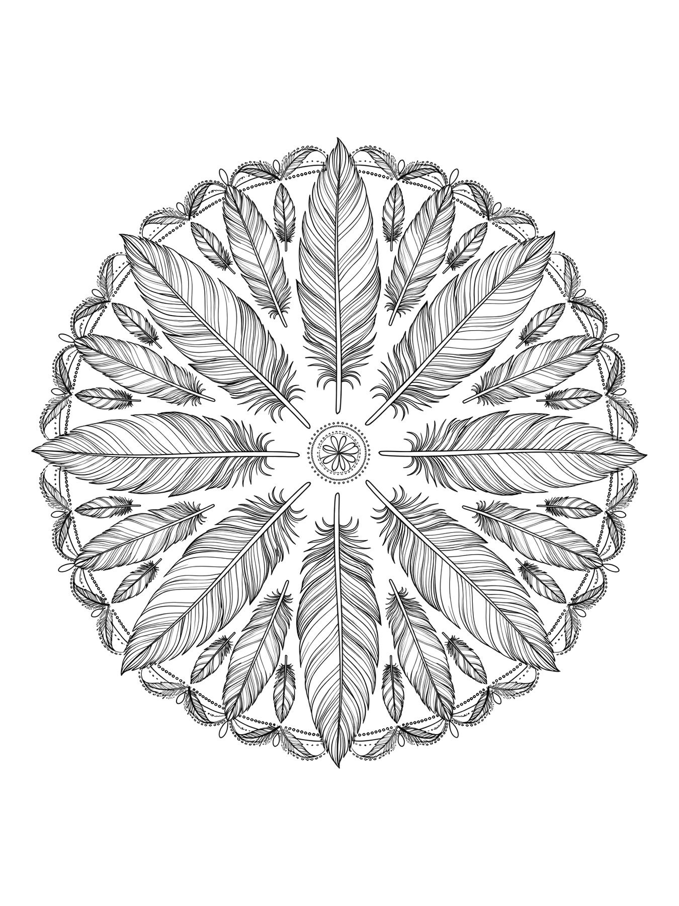 Desenho de mandala de penas para colorir