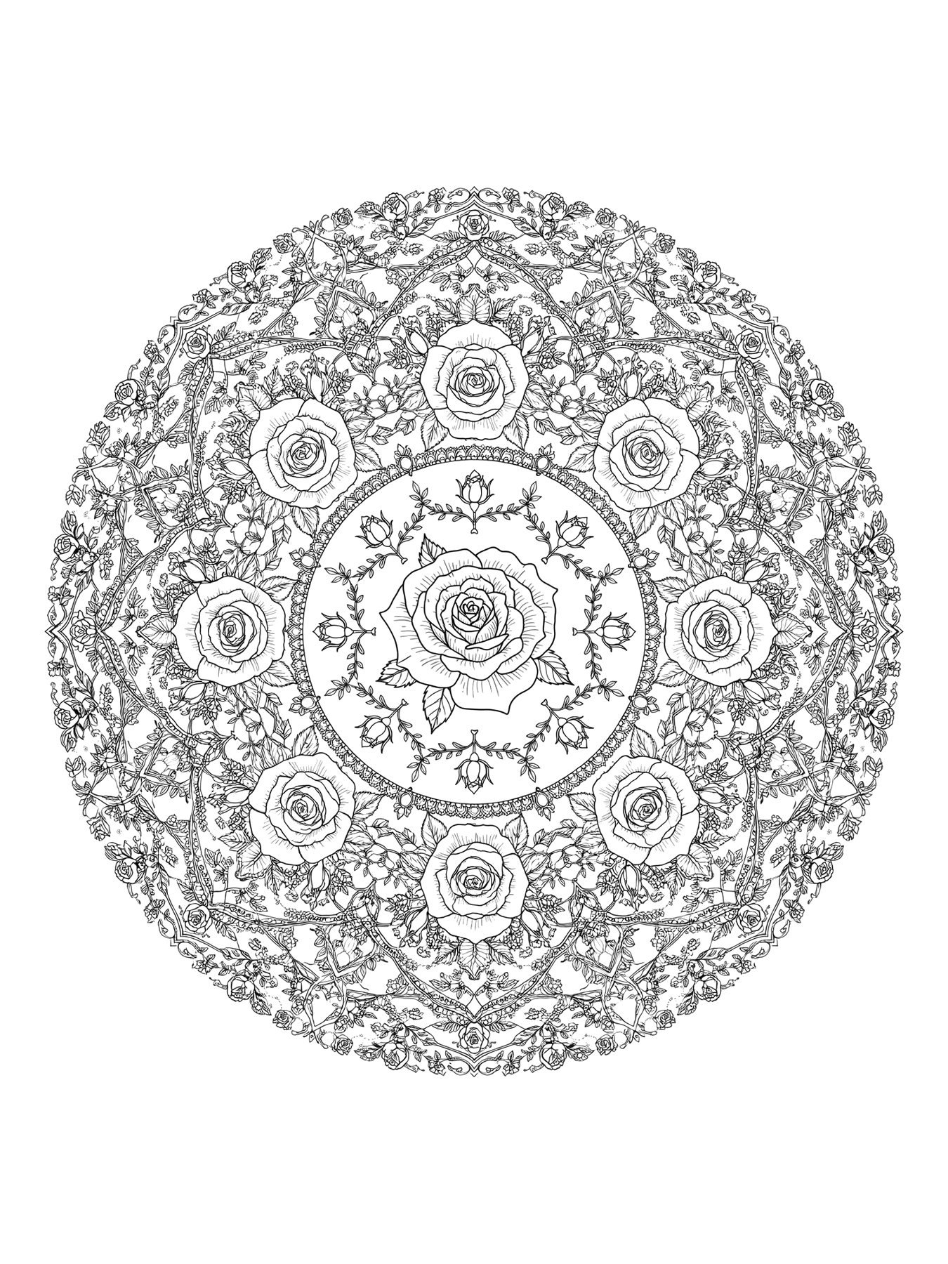 Desenho de mandala de rosas para colorir