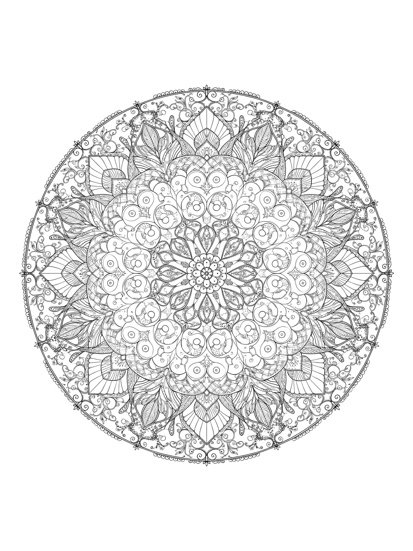Desenho de mandala zentangle para colorir