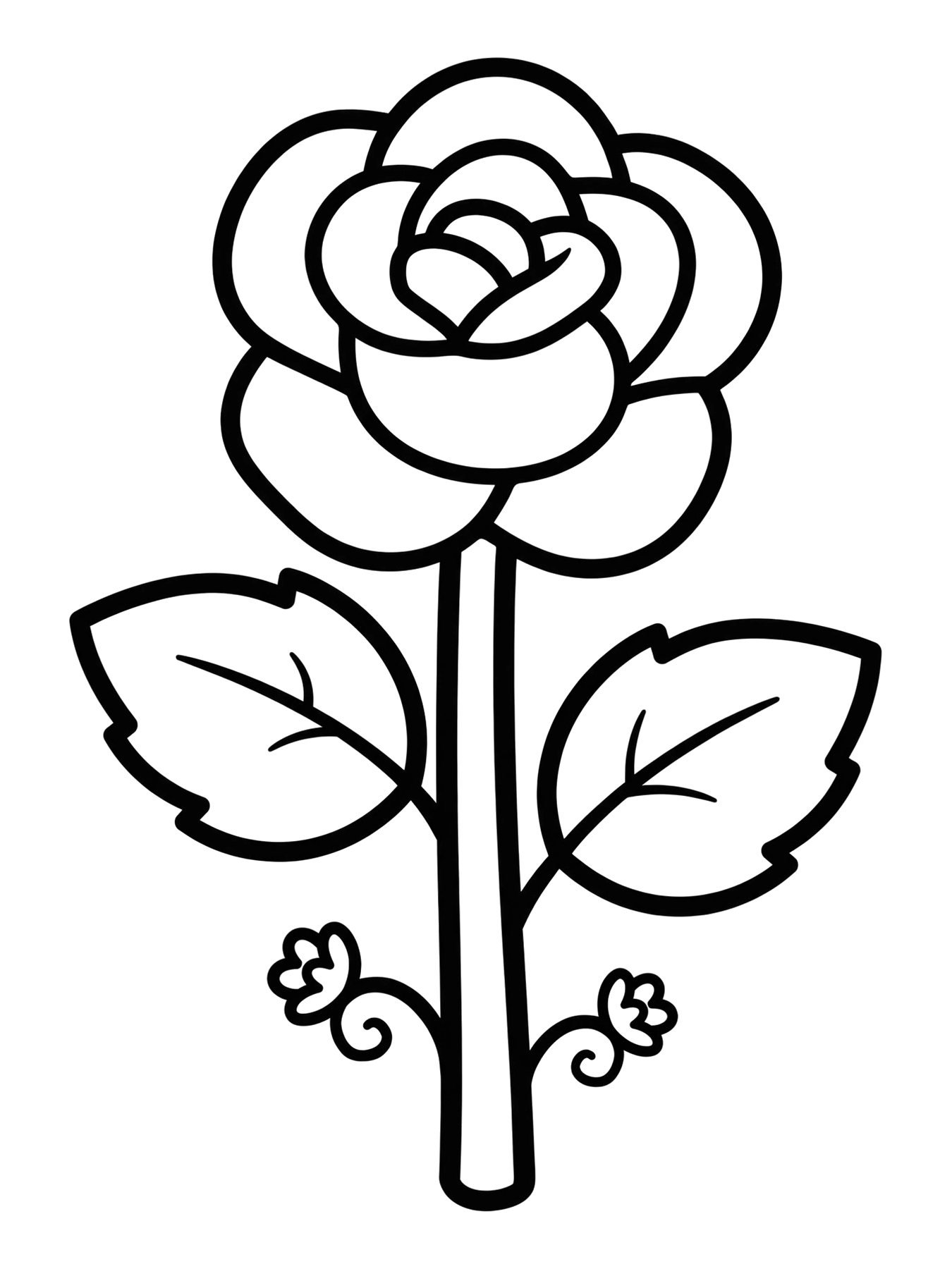 Desenho de rosa para colorir